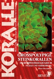 Grosspolypige Steinkorallen Im Meerwasseraquarium - Cover