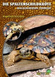 Die Spaltenschildkröte - Cover
