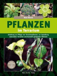 Pflanzen im Terrarium