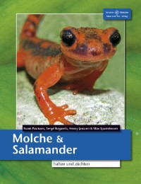 Molche & Salamander halten und züchten