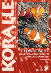 Clownfische Im Meerwasseraquarium