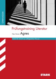 Prüfungstraining Literatur, BW, Gy, Sek II - Cover