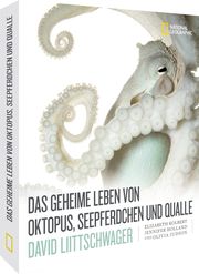Das geheime Leben von Oktopus, Seepferdchen und Qualle - Cover