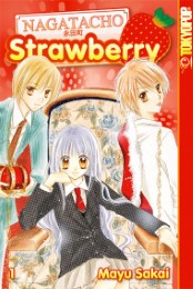 Nagatacho Strawberry 1