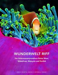 Wunderwelt Riff