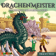 Drachenmeister - Die Festung des Steindrachen - Cover