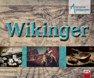 Abenteuer Weltwissen: Wikinger - Cover