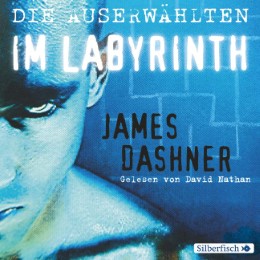 Im Labyrinth - Cover