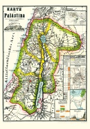 Historische Karte von PALÄSTINA 1869