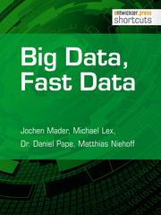 Big Data, Fast Data - Cover