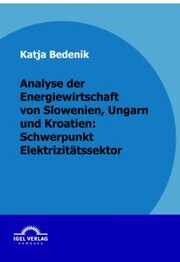 Analyse der Energiewirtschaft von Slowenien, Ungarn und Kroatien: Schwerpunkt Elektrizitätssektor - Cover