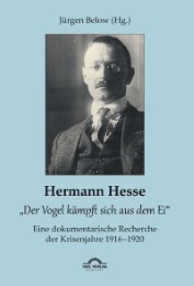 Hermann Hesse: 'Der Vogel kämpft sich aus dem Ei'. Eine dokumentarische Recherche der Krisenjahre 1916 - 1920. Korrespondenzen und Quellennachweise