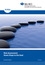 A016e Risk Assessment - Seven Steps to the Goal