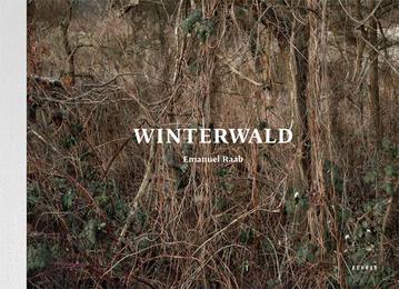Emanuel Raab: Winterwald