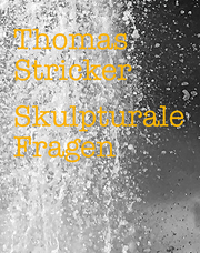 Thomas Stricker - Skulpturale Fragen 2
