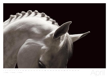 Equus - Abbildung 4