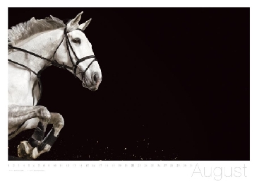 Equus - Abbildung 8