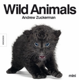 Wild Animals mini