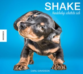 Shake - Hundebabys schütteln sich - Cover