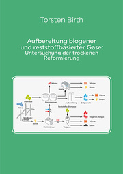 Aufbereitung biogener und reststoffbasierter Gase: Untersuchung der trockenen Reformierung