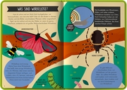 Terra Kids - Entdecke die Insekten - Abbildung 1