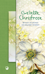 Geliebte Christrose - Cover