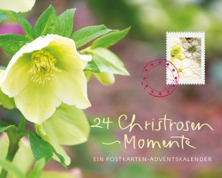24 Christrosen-Momente - Cover