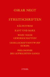 Werkausgabe Bd. 18 / Streitschriften - Cover