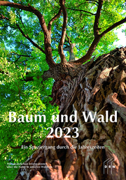 Baum und Wald 2023
