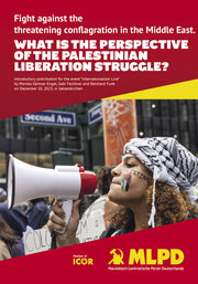 What is the perspective of the palestinian liberation struggle? - Cover