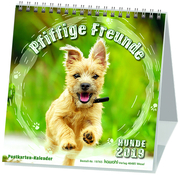 Pfiffige Freunde 2020 - Cover