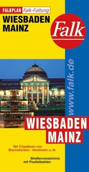 Falk Stadtplan Falkfaltung Wiesbaden, Mainz 1:23.000 - Cover