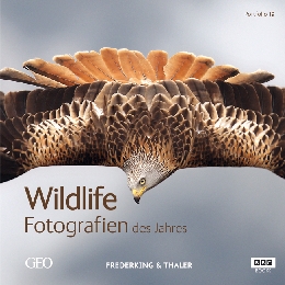 Wildlife Fotografien des Jahres