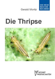 Thripse