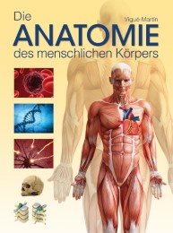 Die Anatomie des menschlichen Körpers