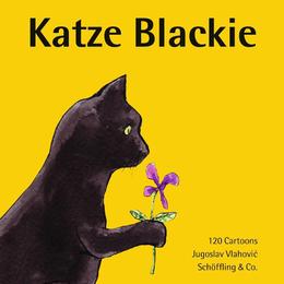 Katze Blackie
