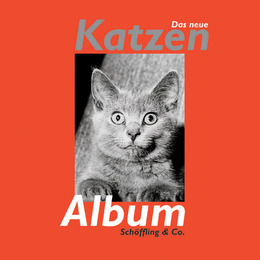 Das neue Katzen Album