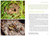 Fertig zum Einzug: Nisthilfen für Wildbienen - Abbildung 3