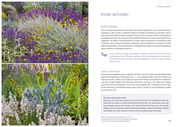 Lavendelschätze - Abbildung 3