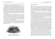 Kranichflug und Blumenuhr - Abbildung 3
