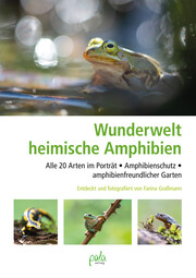 Wunderwelt heimische Amphibien