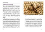 Heilkraft aus dem Bienenstock - Abbildung 2
