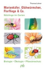 Marienkäfer, Glühwürmchen, Florfliege & Co. - Cover