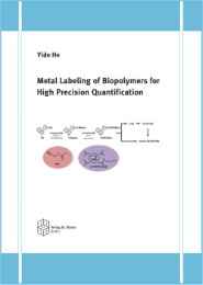 Metal Labeling of Biopolymers for High Precision Quantification