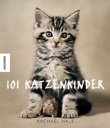 101 Katzenkinder - Cover