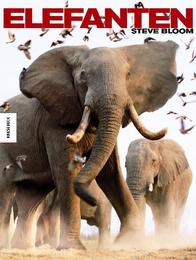 Elefanten - Cover