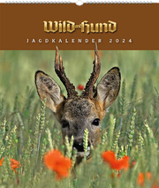 Jagdkalender Wild und Hund, Tischvariante 2024 - Cover