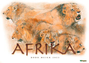 Afrika 2023 - Cover