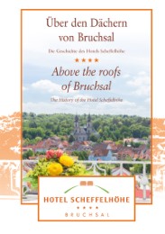 Über den Dächern von Bruchsal/Above the roofs of Bruchsal