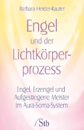 Engel und der Lichtkörperprozess - Cover